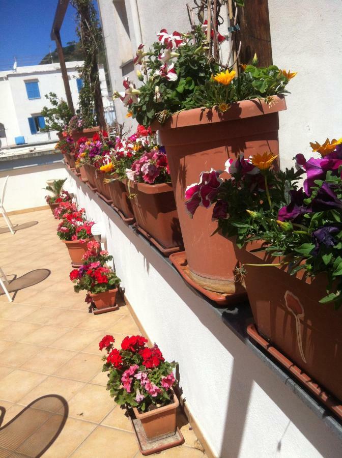 B&B Celestina Ischia Lacco Ameno  Exteriér fotografie